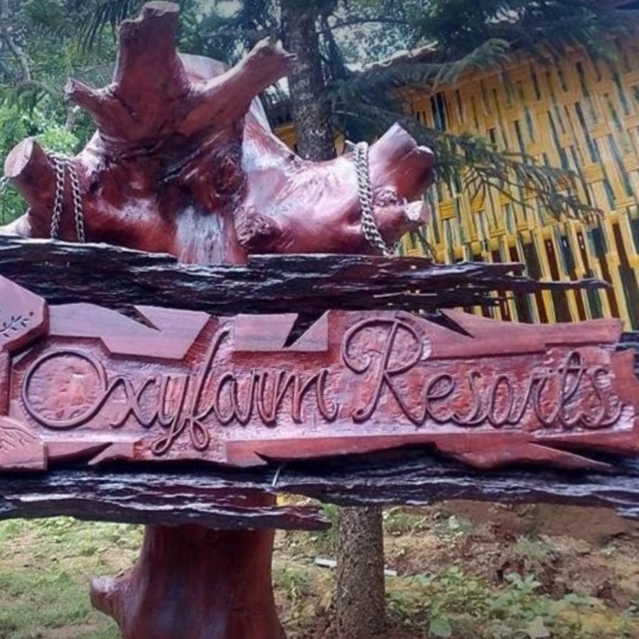 Oxyfarm Resorts 瓦亚纳德 外观 照片